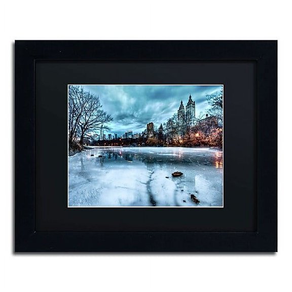 Trademark Fine Art "Frozen Central Park Lake II" Canvas Art by David Ayash, Black Matte, Black Frame