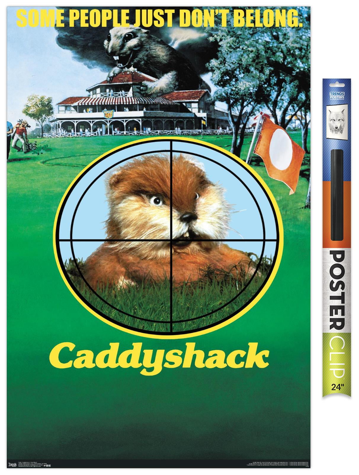 Caddyshack One Sheet Wall Poster, 22.375" x 34"