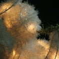 thumbnail image 3 of Northlight 29" Lighted Tinsel Trumpeting Angel Christmas Outdoor Decoration, 3 of 3