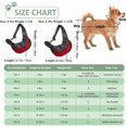 thumbnail image 5 of Pet Cat Dog Carrier Backpack Travel Tote Shoulder Bags Mesh Sling Carry Pack Pet Carrying Supplies Crossbody Shoulder Bag, 5 of 10