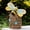 Bee, variant on Garden Statue Decor-Outdoor Statue Bees Decorations-Solar Garden Light Bumble Figurine Patio,Balcony,Yard,Lawn Ornament Mom