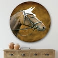 thumbnail image 2 of Designart 'Close Up Portrait Of Brown Horse With White Ears' Farmhouse Circle Metal Wall Art 36x36 - Disc of 36, 2 of 5
