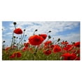 thumbnail image 2 of Photo de Fleurs de Coquelicot Rouge Vif - Œuvre d'Art Florale sur Toile, 2 of 3
