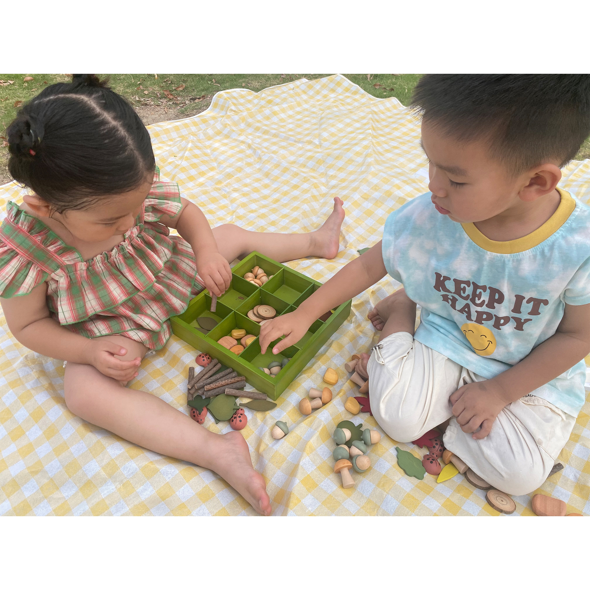 The Freckled Frog Nature's Sorting Box