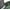 Green, variant on BLACK+DECKER Vitessa Advanced Steam Iron