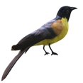 thumbnail image 1 of Pájaro artificial Decoración Jardín Animal Pájaro Escultura Jardín Decoración Estatua 11 Gloria Pájaro artificial, 1 of 6