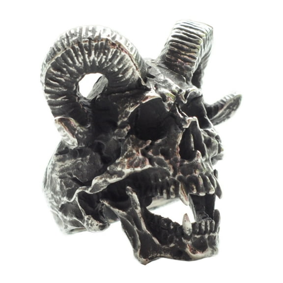 ZMY Home Skull Rings Men Cool Punk Biker Ultimate Ram Demon Stainless Steel Jewelry for Band Party (10)