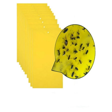 OkrayDirect 20Pcs Strong Flies Traps Bugs Sticky Board Catching Aphid Insects Pest