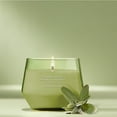 thumbnail image 2 of Yankee Candle Scented Candle, Sage & Citrus, 10 oz, Studio Collection, Up to 50 Hours of Burn Time, 2 of 7