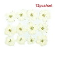 thumbnail image 4 of Pressé Fleurs Home Arts Décoratifs Signets Autocollants Sûr Coloré Multiples Simulation Décor Parfait Cadeaux Fournitures de Fête Blanc, 4 of 6