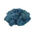 thumbnail image 1 of Reindeer Moss Preserved, Royal Blue Moss 4 Ounces, Aqua Blue Bulk Moss for Crafts or Floral Projects, 1 of 1