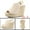 Beige, variant on Slingback Platform Wedges Heel Espadrille Wedge Sandals Beige 6