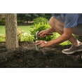thumbnail image 6 of Miracle-Gro Evergreen Fertilizer Spikes, 3 lb., 12 Spikes, Easy-to-Use, 6 of 7