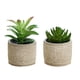 thumbnail image 1 of Bonsái suculentas de simulación, pequeños adornos creativos, macetas de cemento, plantas verdes artificiales, 2 uds., 1 of 5