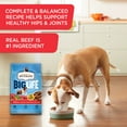 thumbnail image 5 of Rachael Ray Nutrish Big Life Hearty Beef, Veggies & Brown Rice Recipe Dry Dog Food, 28 lb. Bag, 5 of 9