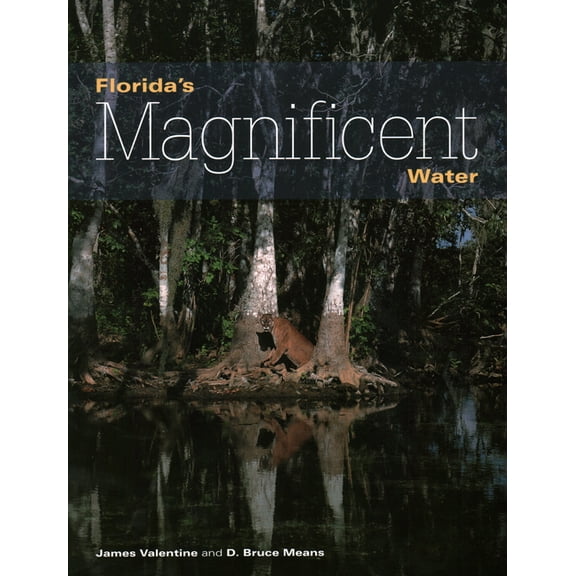 Florida Magnificent Wilderness: Florida's Magnificent Water (Paperback)