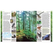 DK Definitive Visual Encyclopedias Bird, New Edition, (Hardcover)