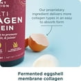 thumbnail image 4 of Ancient Nutrition Hydrolyzed Collagen Peptides Powder, Unflavored Multi Collagen Powder for Women and Men, 20 Servings, Supports Skin and Nails, Gut Health, 4 of 8