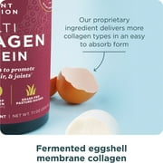 Ancient Nutrition Hydrolyzed Collagen Peptides Powder, Unflavored Multi Collagen Powder for Women and Men, 20 Servings, Supports Skin and Nails, Gut Health