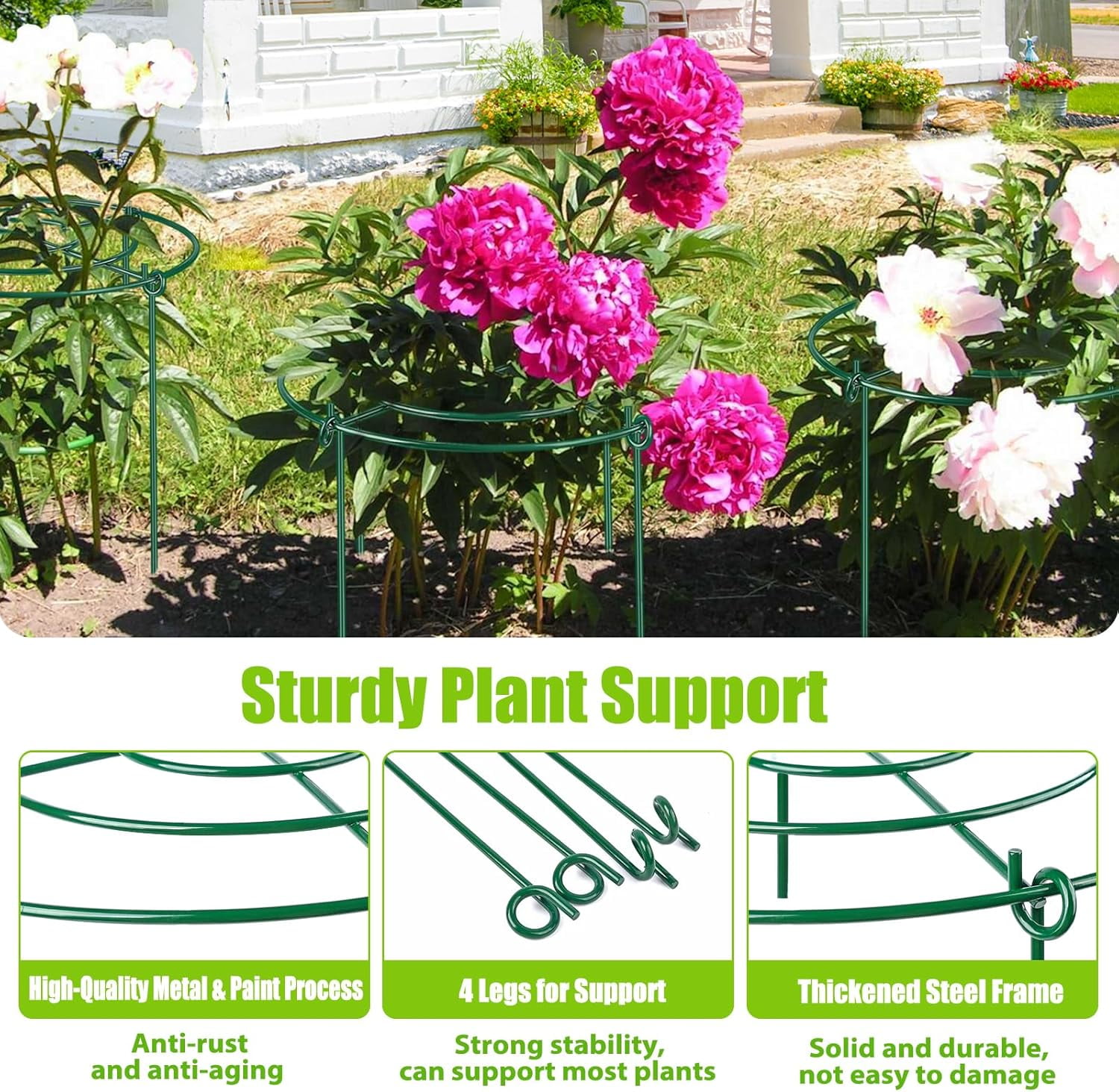 8 Pack Peony Cages and Supports – 11.5" Dia x 16" H Heavy Duty Metal Flower Support Rings for Outdoor Plants, Rose, Tomato, Hydrangea, Strawberry