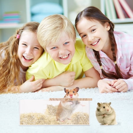 Pawsdot Transparent Acrylic Sand Bath Box for Hamster Bathing and Playing