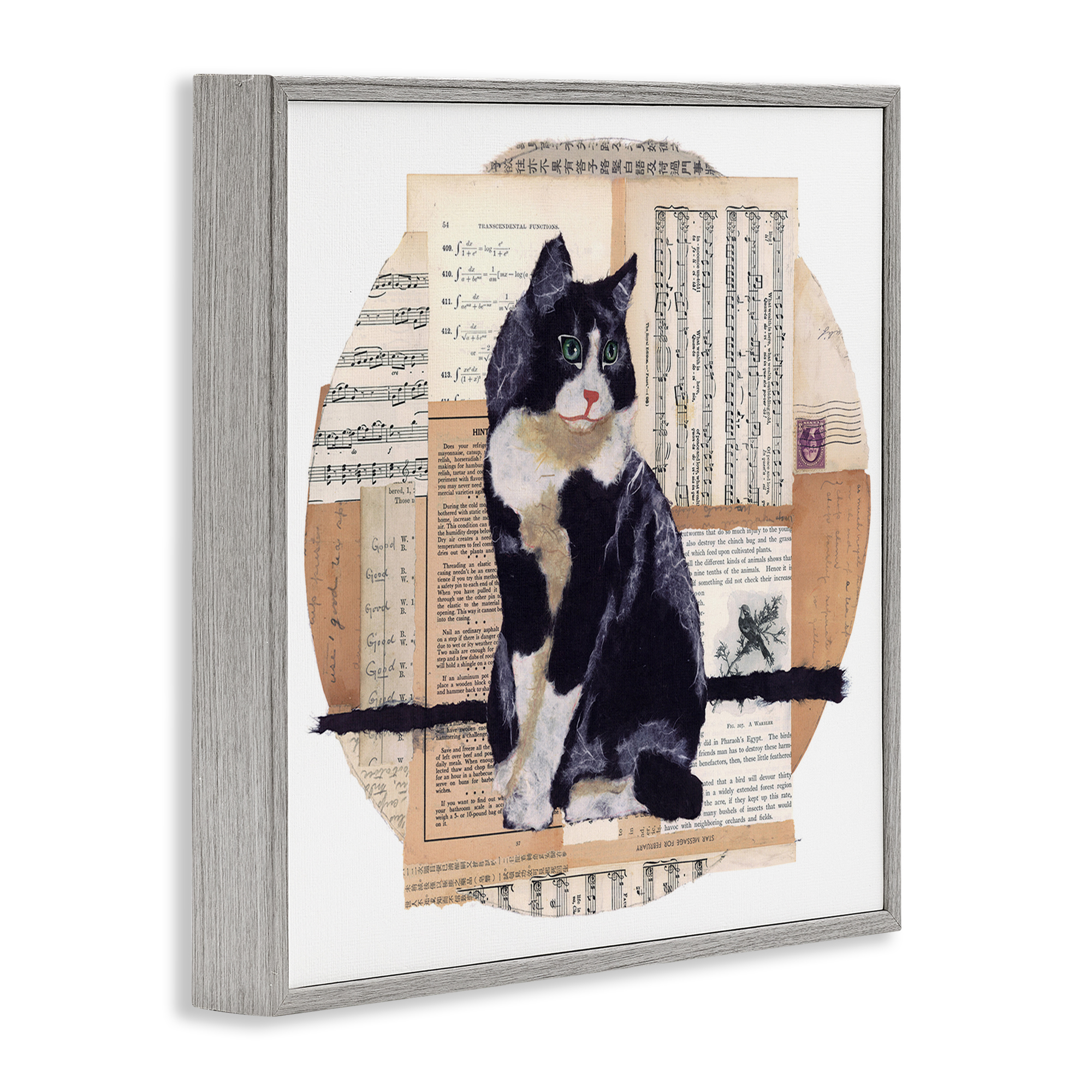 Stupell Industries Tuxedo Cat Collage Animals & Insects Painting Gray Framed Art Print Wall Art, 24 x 24