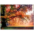 thumbnail image 1 of Trees Forest Ceramic Tile Mural Kitchen Backsplash Bathroom Shower 401673-S43, 1 of 3