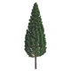 thumbnail image 5 of Modelo de árbol en miniatura Injueey 9.5 cm 2Conjunto, 5 of 6