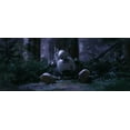 The Wild Robot (2024) English Movie d v d