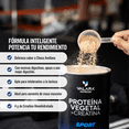 thumbnail image 5 of Proteína Vegetal Sport Valara Nutrition Vainilla 1 kg | Con Creatina Monohidratada | Sin Azúcar, 5 of 5