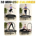 thumbnail image 7 of Mini Rebounder Trampoline, 40 Inch Foldable Fitness, Adjustable U-Bar Handle, 350 Lbs Max Load, 7 of 7