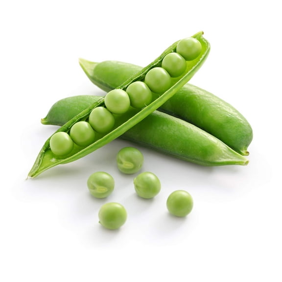 Sweet Pea Seeds to Grow | 25  Seeds | Delicious Sweet Peas to Grow and Eat, Grow Your Own Food, Delicious
