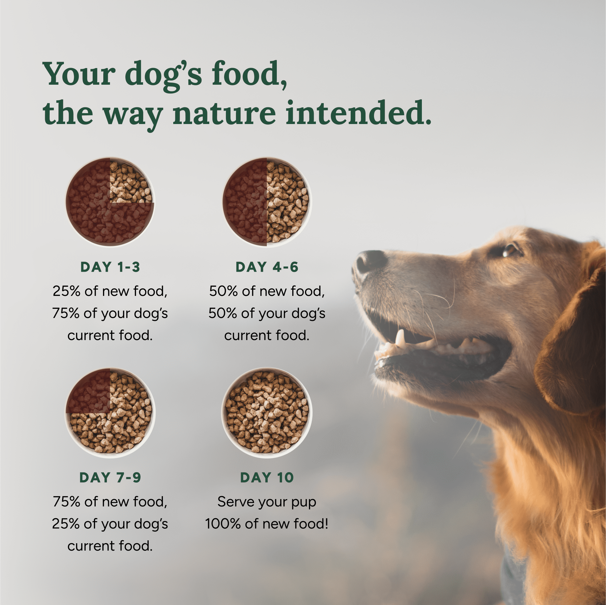 (6 pack) 360 Pet Nutrition Multi Protein Flavor Freeze Dried Dog Food, 5 oz. Bag