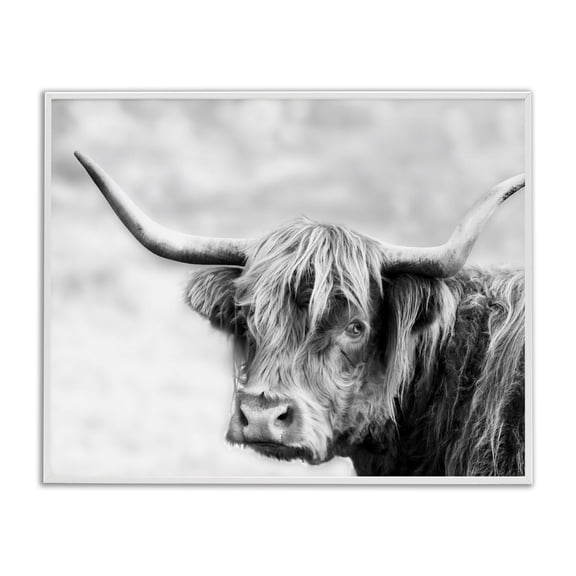 Stupell Industries Farmhouse Bold Country Cattle Black White Photography Wild Animal White Framed Giclee Art, 20 x 16, by Danita Delimont