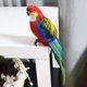 thumbnail image 5 of 2 Piezas Loro Artificial Realista Figura Decorativa de Ave Animal Estatua de Imitación de Animal Prop para Fotografía y Enseñanza Adecuado para, 5 of 9