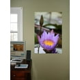 thumbnail image 2 of Howard Purple Flower Wall Decal, 2 of 2