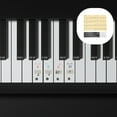 thumbnail image 1 of SWETRACE Beginner Piano Keyboard Sticker Assorted Color Decorative Decals for Piano and Electronic Organ, 1 of 8