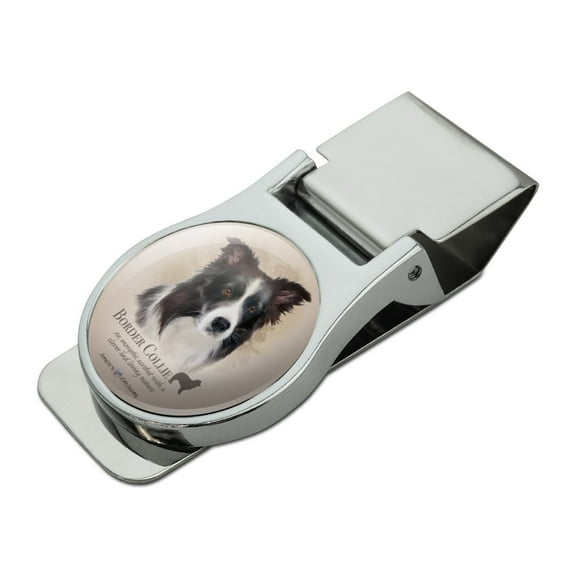 Border Collie Dog Breed Satin Chrome Plated Metal Money Clip