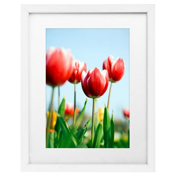 11x14 White Frame Displays Photos 8x10 with Mat or 11x14 Without Mat