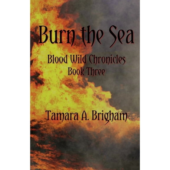 Burn the Sea, (Paperback)