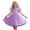 Purple, variant on Girls Summer Dress with Sleeves and Skirt Party Gown for Toddler Kids Formal Occasion Dress up Clothes for Little Girls Toddler Fancy Dress Light Girl Dress Wedding Dress Flower Girl Toddler