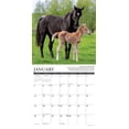 thumbnail image 3 of Why Horses Do That 2026 12 X 12 Wall Calendar, (Hardcover), 3 of 5