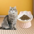 thumbnail image 3 of Porcelain Cat Food Bowls, Feeding Skid Water Bowls High Foot Snack Bowl Tilted Raised Cat Dish for Indoor Cats, Small Dogs Kitty Travel Pink, 3 of 9