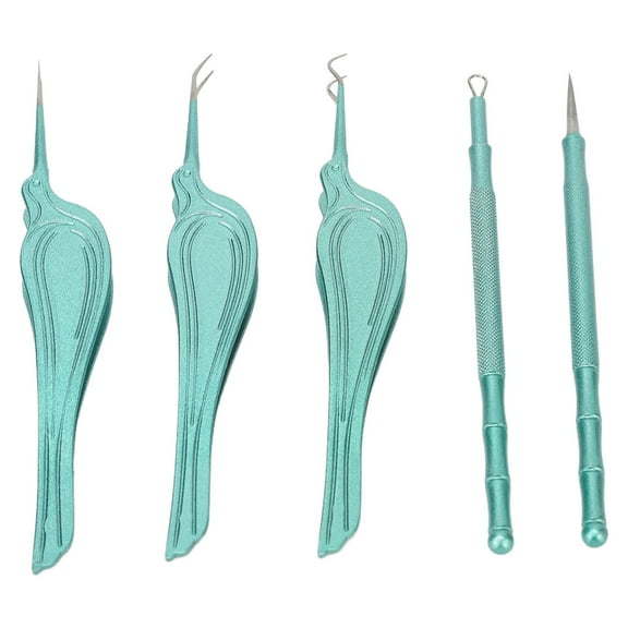 2024 5pcs Blackhead Remover Tool Fine Tips Stainless Steel Pimple Popper Removing Tool for Salon