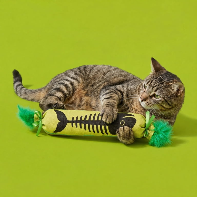 Vibrant Life Fish Bone Kicker Cat Toy 18-inch plush toy with