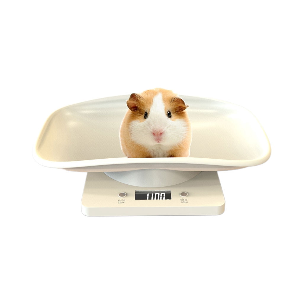New Born Digital Scale Weigh Small Pet Baby 1G-10Kg Multi-Function High Precision for Cat Dog Rat Parrots Hamster Rabbit