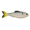 Clearwater Shad, variant on 6th Sense Panorama 2.0 Soft Swimbait – Bass & Crappie Fishing Lure | Ultra-Realistic Finesse Forage Imitator for Hover Rigs, Drop Shots, and Panfish (4K Shad)