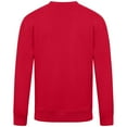 thumbnail image 3 of Men's Levelwear  Red St. Louis Cardinals City Connect Zane Back Splash Sweatshirt, 3 of 3