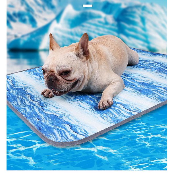 Padre refrescante para perros, refrescante y transpirable, refrescante y protector de huesos, alfombrilla para gatos y perros