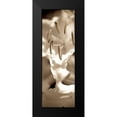 thumbnail image 2 of Blaustein, Alan 11x24 Black Modern Framed Museum Art Print Titled - Florison - 75, 2 of 5